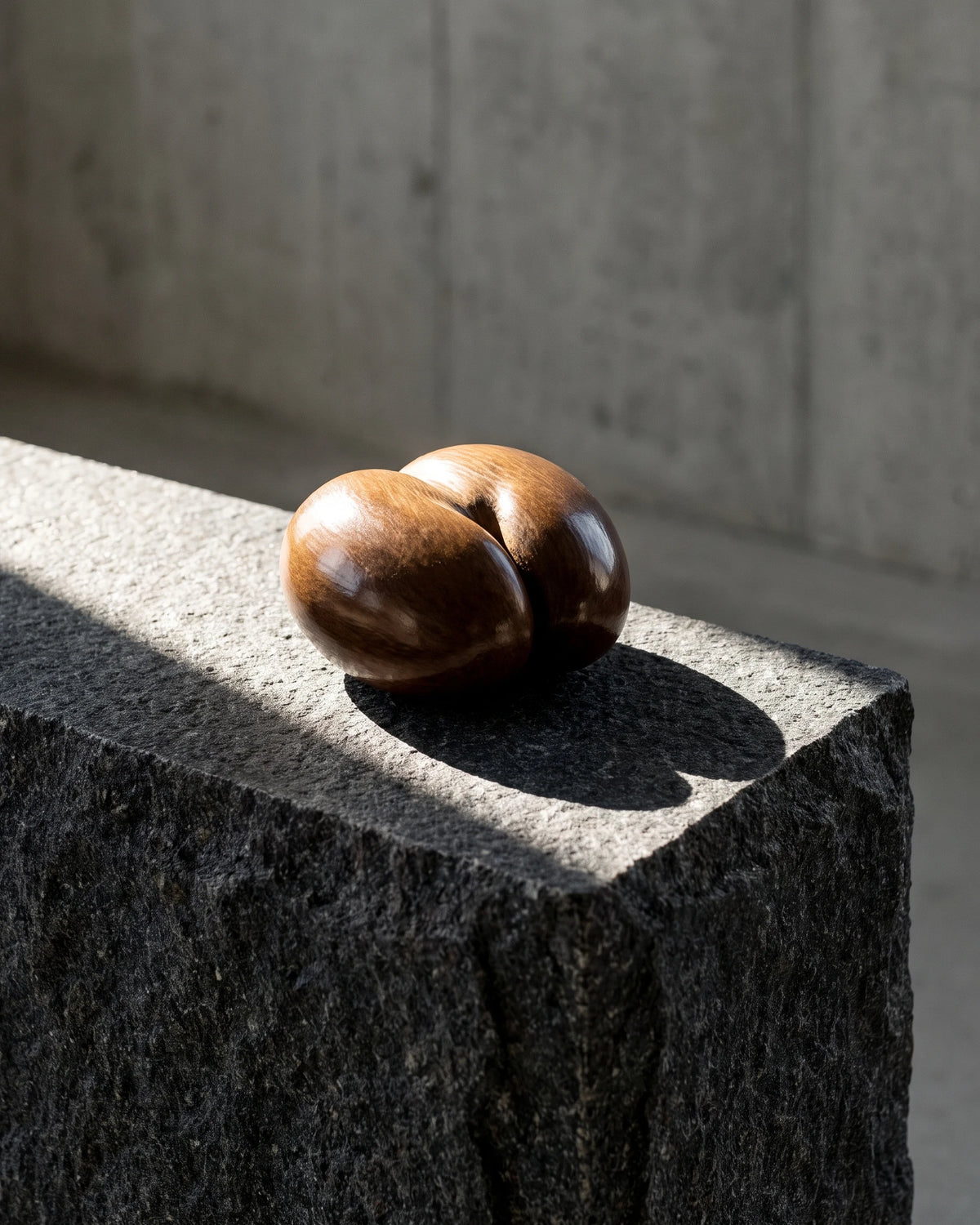 A coco de mer seed resting on the edge of a block of dark granite.